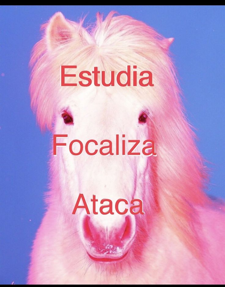 Arte y cultura
